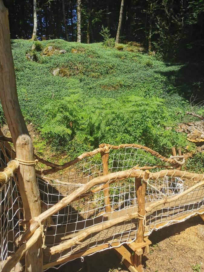 Gite Nature Au Pied Des Hetres Villa Vitrac-sur-Montane Eksteriør bilde