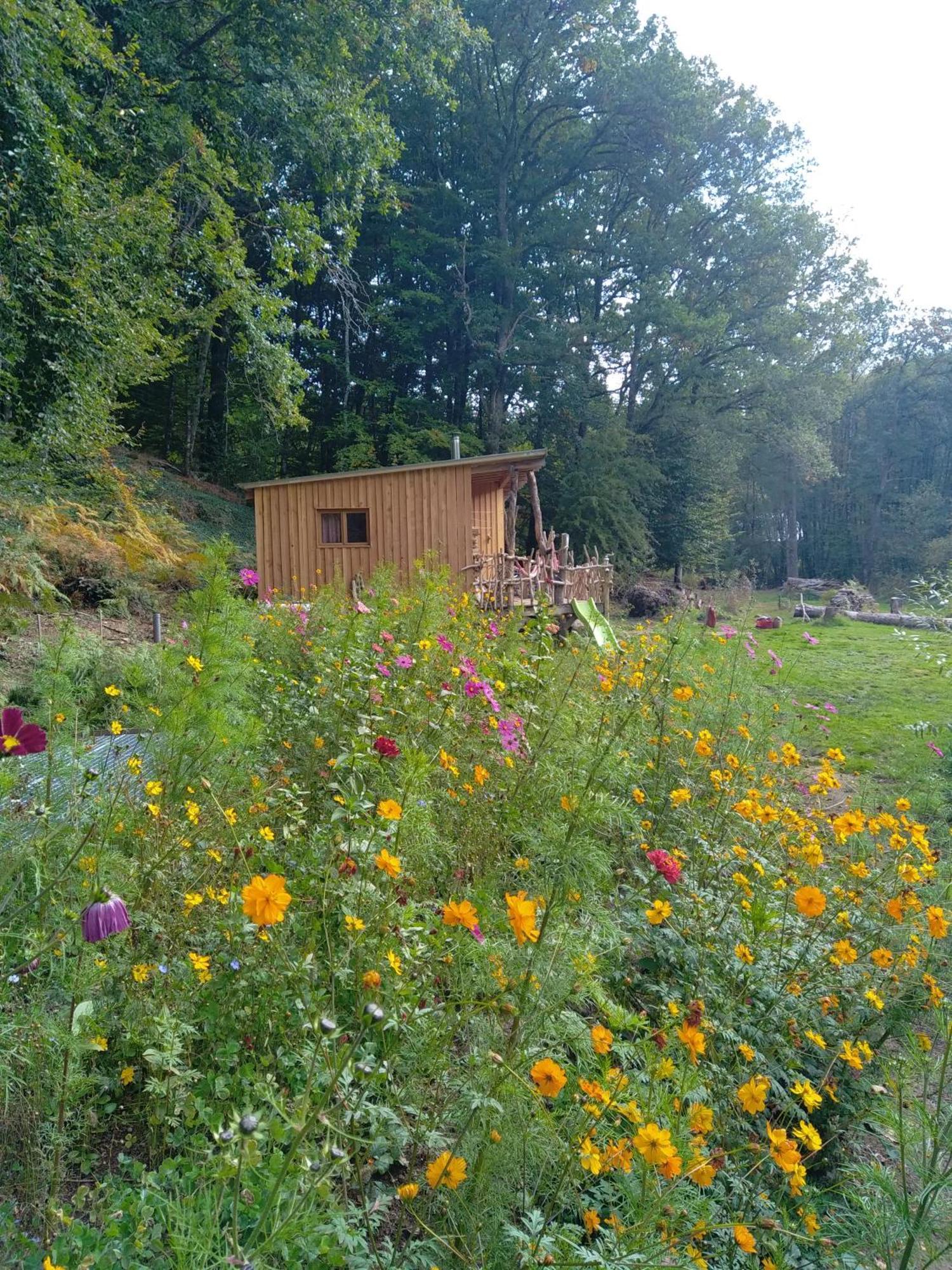 Gite Nature Au Pied Des Hetres Villa Vitrac-sur-Montane Eksteriør bilde